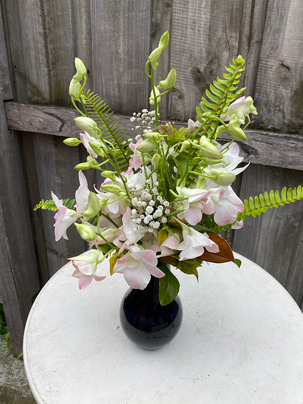 Thumbnail: Singapore orchid in a jar