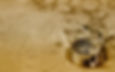 An old brass compass on a map background.jpg