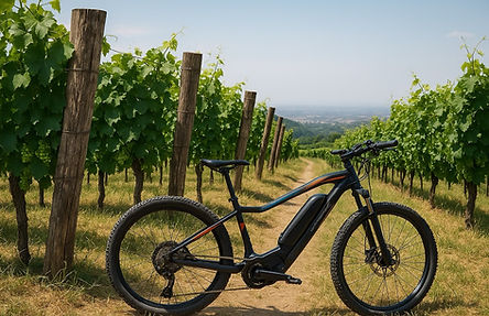 E-bike rental in freedom