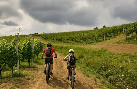 E-bike Tour with Guide