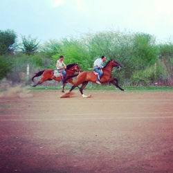 Carrera de caballos en Bacubirito