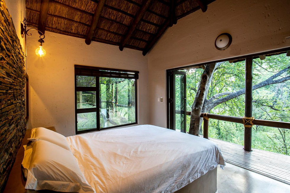 Eye-level view of a luxury safari lodge surrounded by African bush