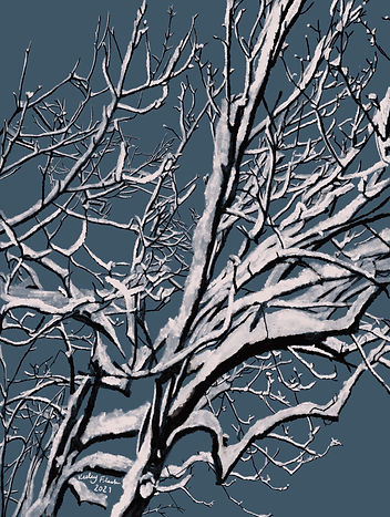 snowy tree.jpg