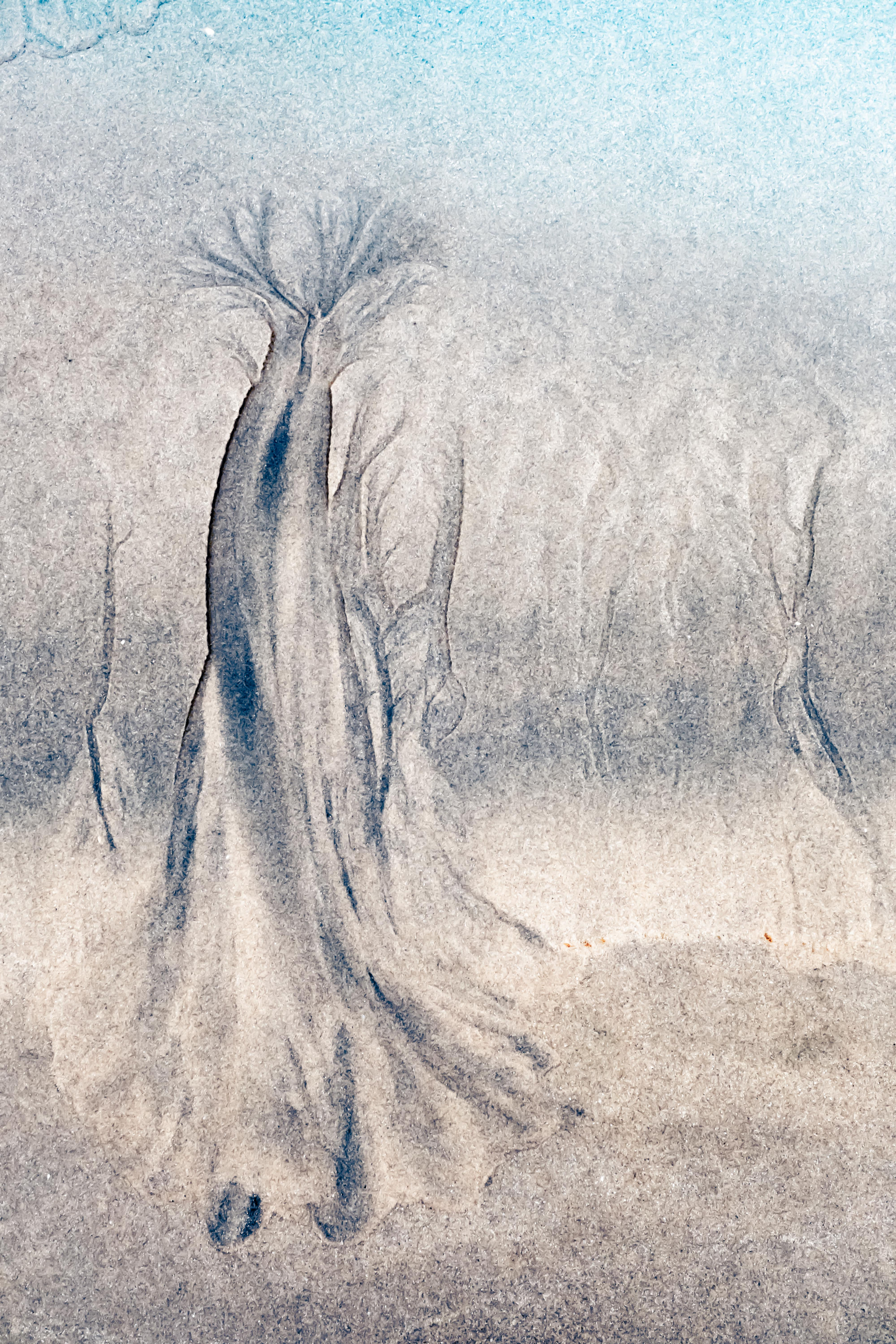 Voyage en terres imaginaires - Madaba