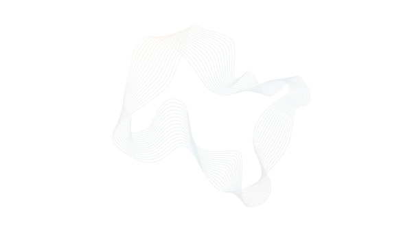 Fidelity Sentinel (3).png