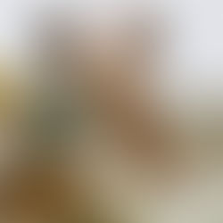 How to Choose the Right Preschool for Your Child in Singapore