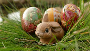 easter-2147243_1920.jpg