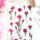 Thumbnail: China pink - Appree Pressed Flowers Stickers