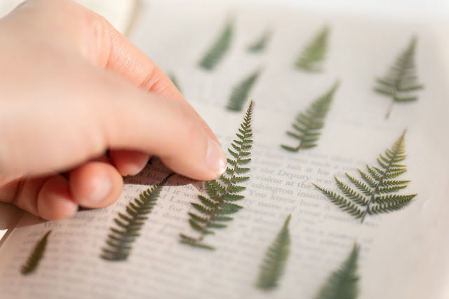 Thumbnail: Bracken - Appree Pressed Flowers Stickers
