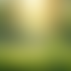 The Unseen Connection Between Grief and Physical Health