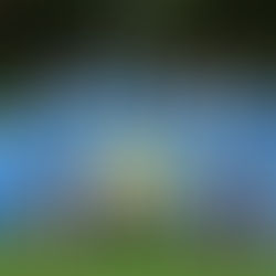 C1: Wenn Frau neue Wege geht, dann ist sie nicht zu stoppen