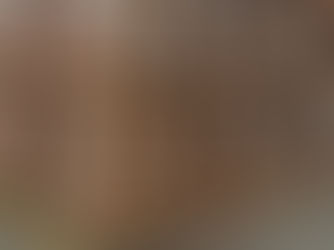 Tipos de cargas para Tarimas 