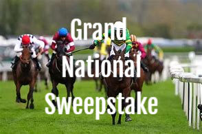Grand National Sweepstake and Race Night