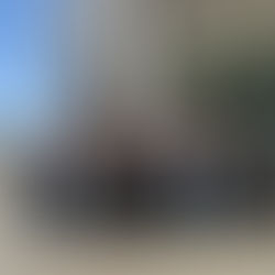 Du cinéma au tribunal : une journée à Charleroi