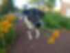 G0040355.JPG