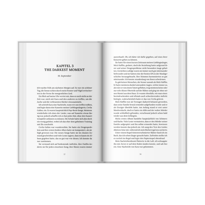 Buchsatz - Feyn - Der Präsident 1