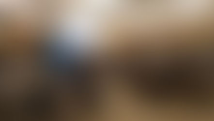 HB사 핵심인재코칭리더십