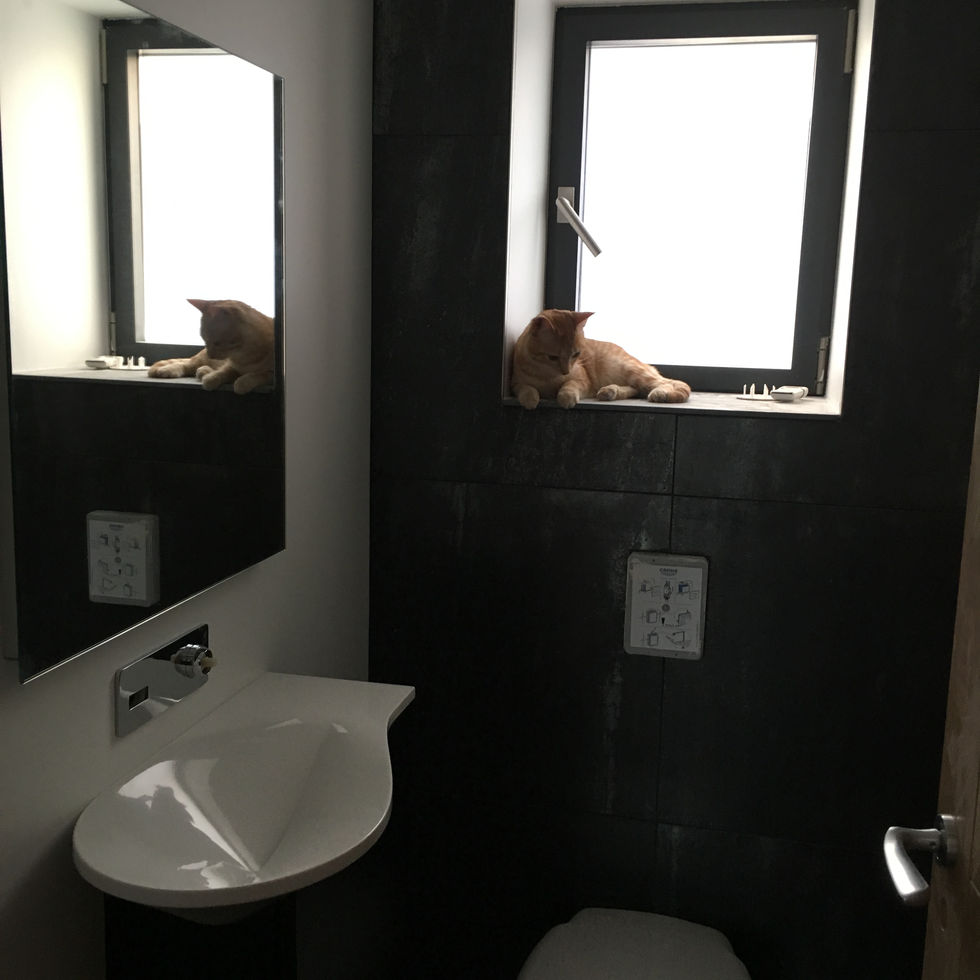 Sanitaire Contraste Chic
