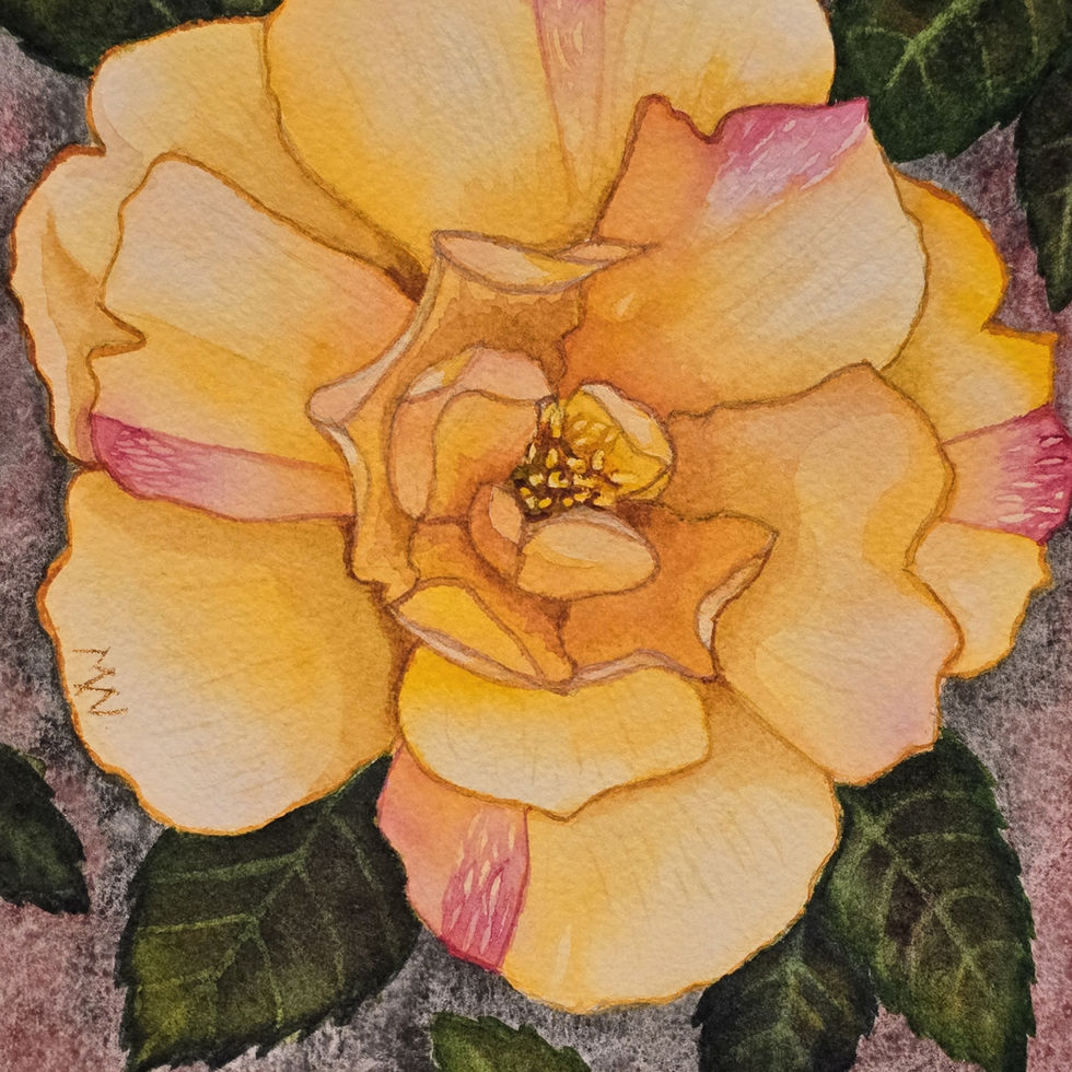 A predominantly yellow garden rose with pink accents is the subject of the painting, against a granulated potter's pink background.
