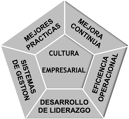 diamante sin titulo negro.png