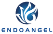 Endoangel