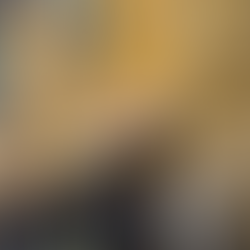 Things to eat in florence. food in florence. 