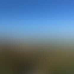 Day tour from Florence. Tuscany tour