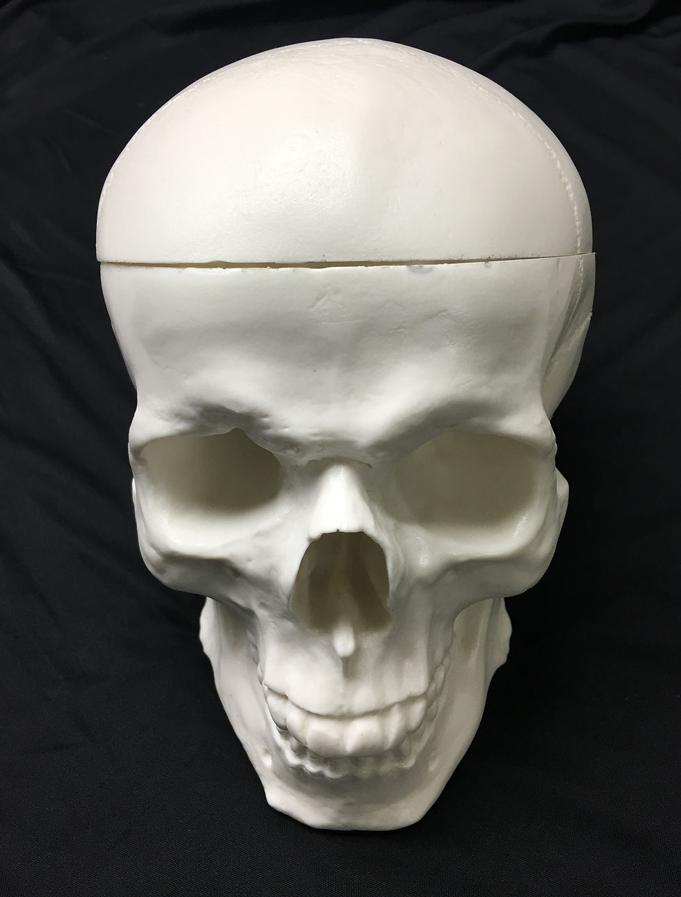 Thumbnail: Neuro Skull
