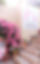 2019_06_05rose_s.jpg