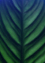 unsplash-q4g5quLfNkI_edited.jpg