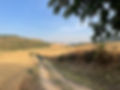 Camino Info Session