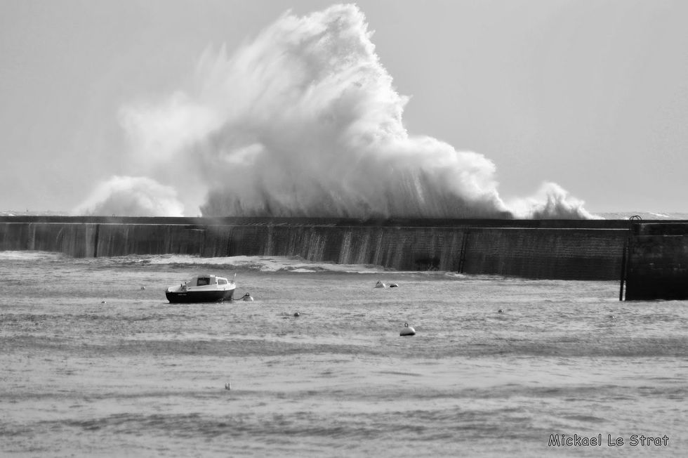 DSC_2657