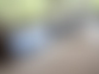 Who Does Wood Floor Finishing and Staining in British Columbia? 