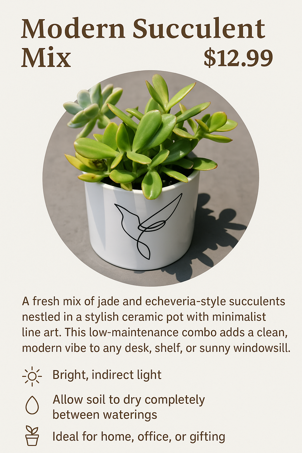 Modern Succulent Mix
