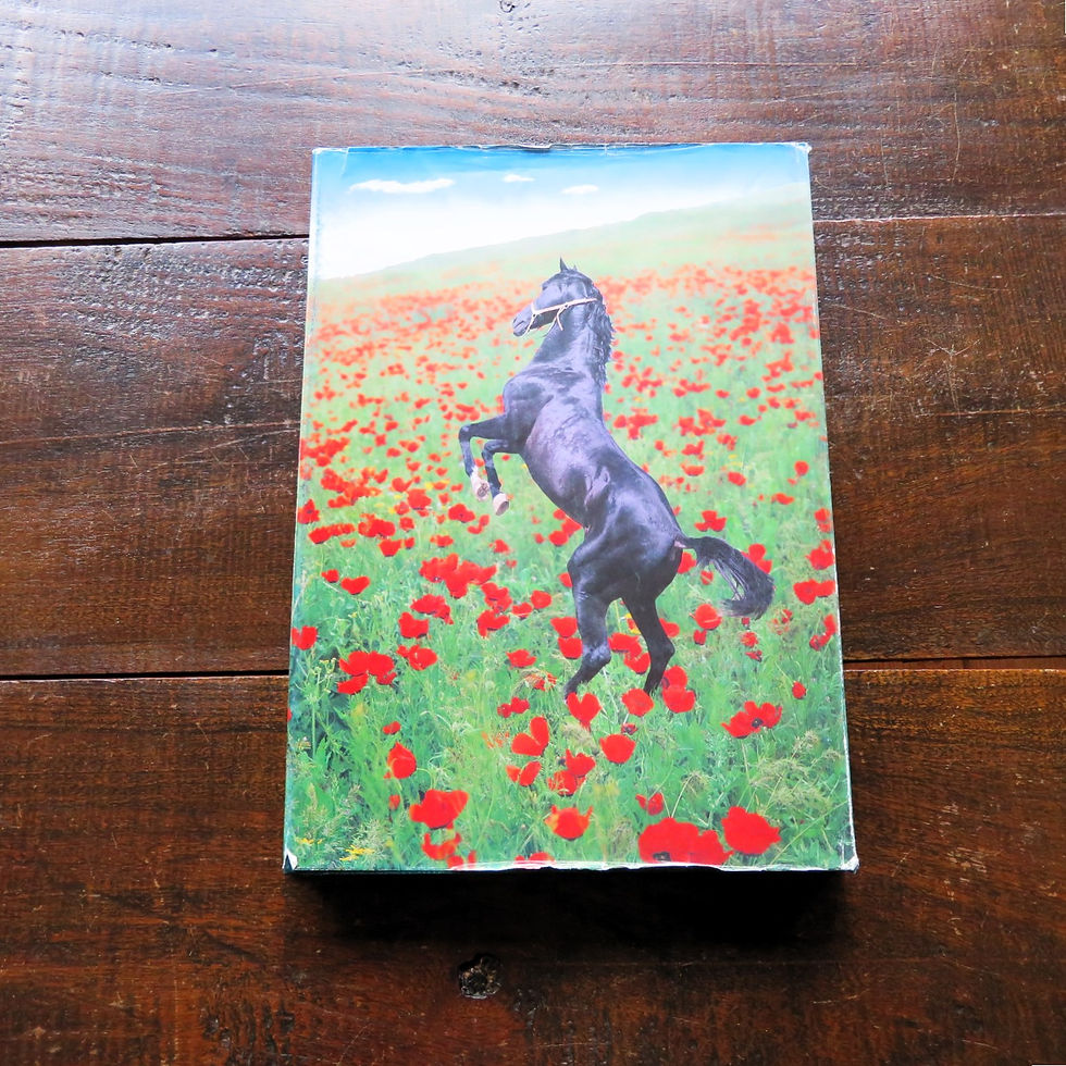 Thumbnail: Book Turkmenistan Turkmenistan 1995