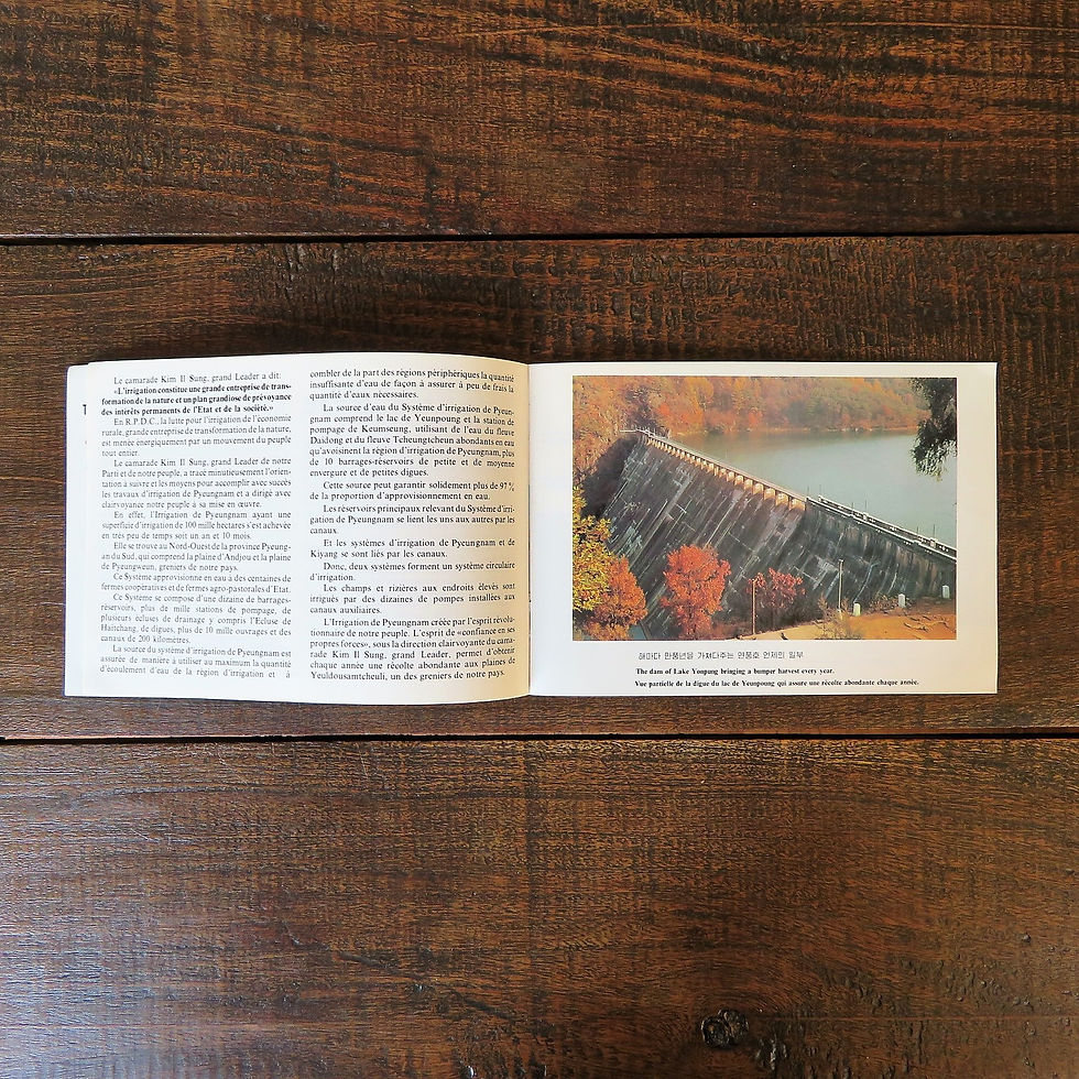Thumbnail: Book Korea General Pyongnam Irrigation 1984