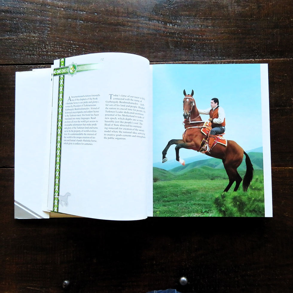 Thumbnail: Book Turkmenistan The Flight Of Celestial Race Horses 2011