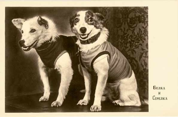 Thumbnail: Fridge Magnet Spacedogs Belka And Strelka