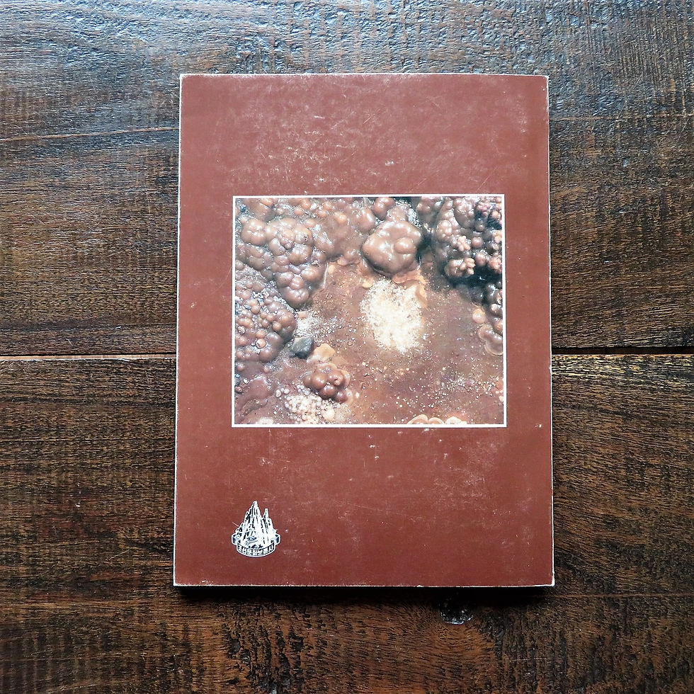 Thumbnail: Book Korea Pictures Ryongmun Cavern 1999