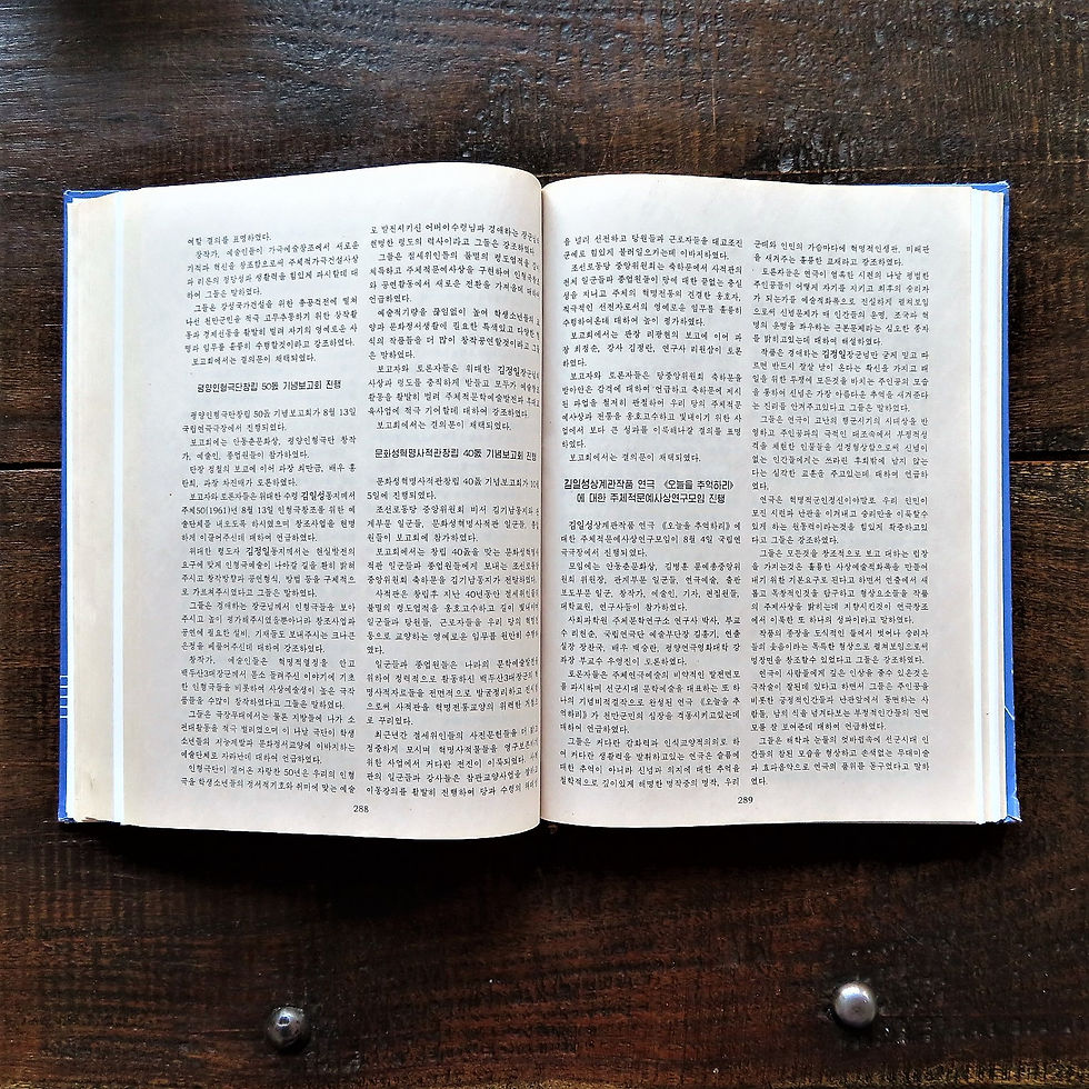 Thumbnail: Book Korea Culture Propaganda Art 2013