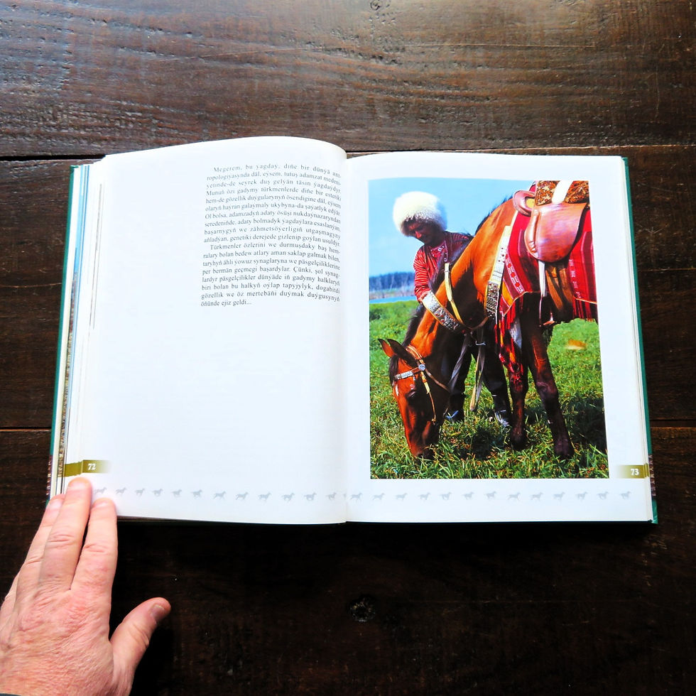 Thumbnail: Book Turkmenistan Akhal Teke Horses Most Beautiful & Fastest In The World 2003