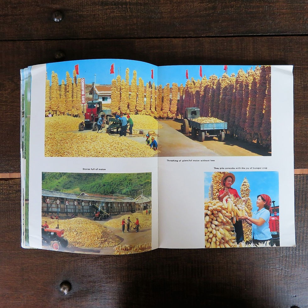 Thumbnail: Book Korea Korea’s Agriculture 1983