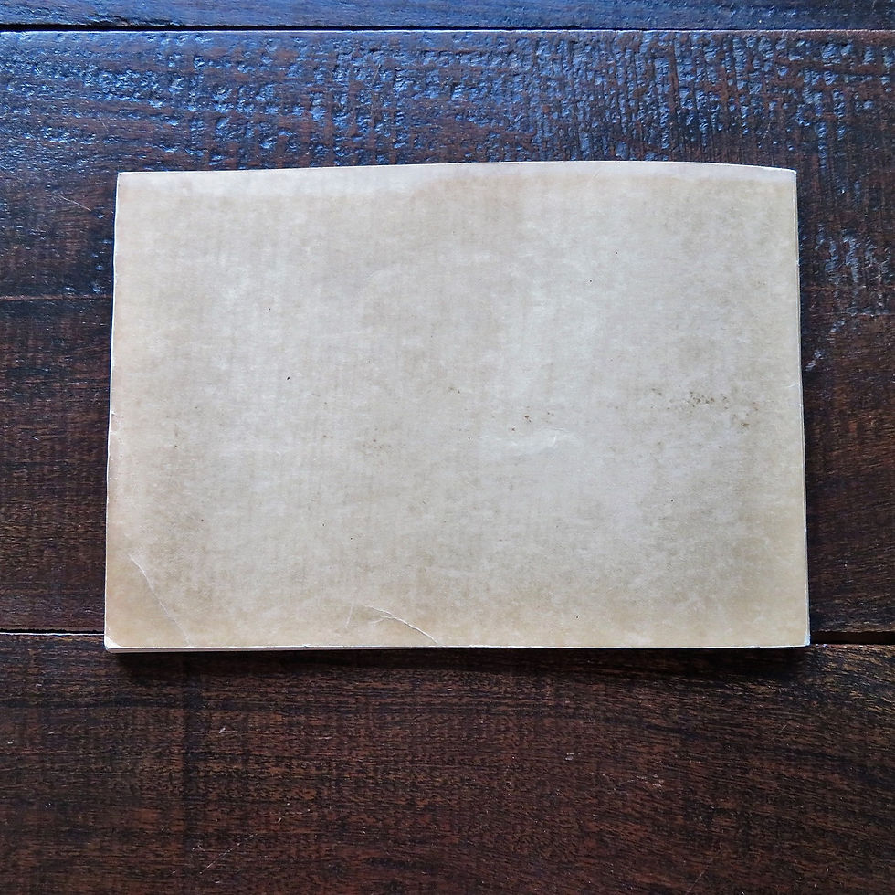 Thumbnail: Book Romania Album Artisti Plastici Amatori Bucuresteni