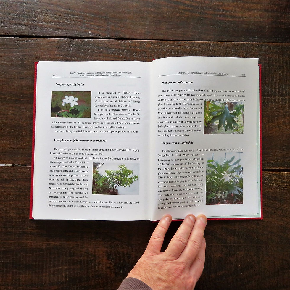 Thumbnail: Encyclopedia Of Kimilsungia 2011