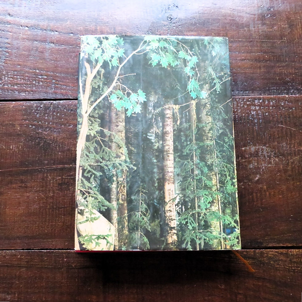 Thumbnail: Book Japan The Korean Revolution Museum 1975 Part II