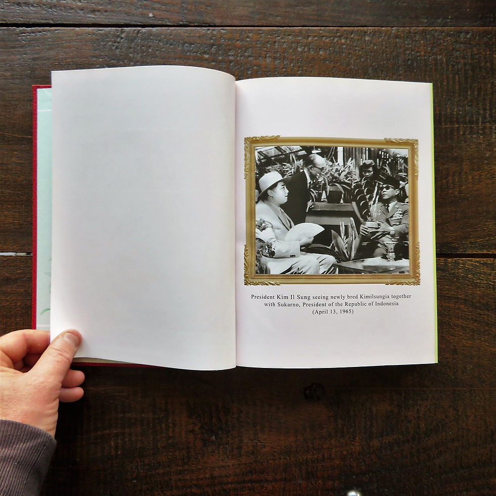 Thumbnail: Encyclopedia Of Kimilsungia 2011