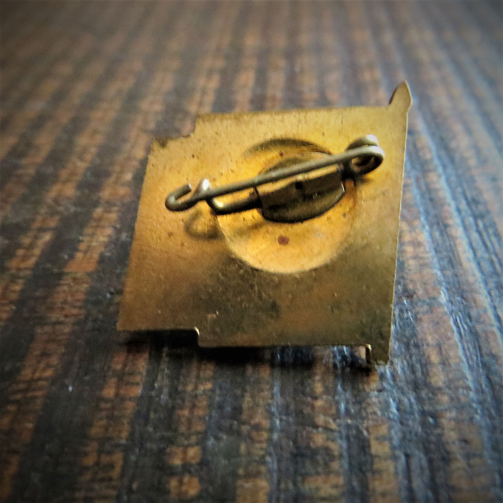 Thumbnail: Pin DDR Pin Young Pioneers Blue Flag 1978