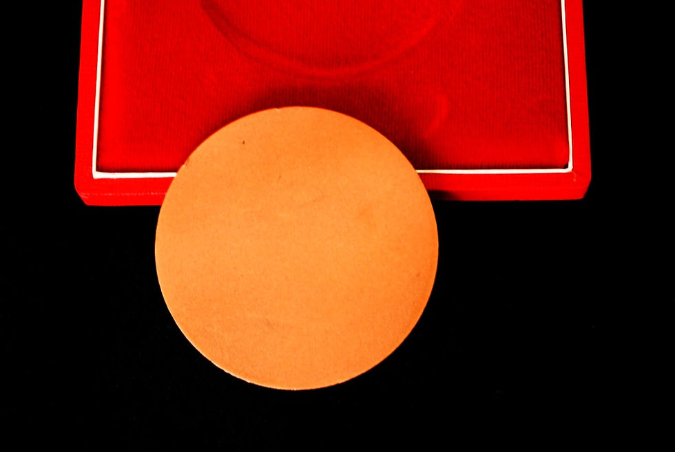 Thumbnail: Medal Hungary Foreign Affairs Committee