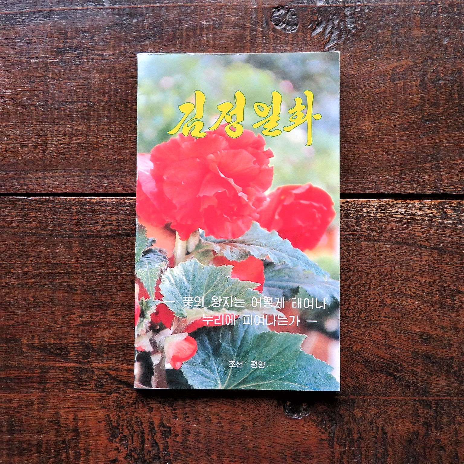 Kimjongilia 1998 (Korean Language)