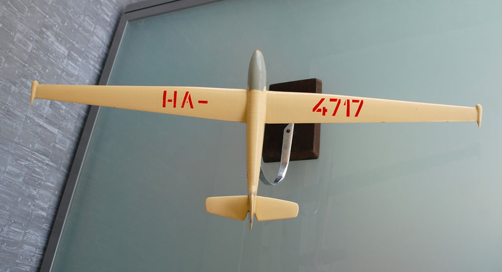 Thumbnail: Model Rubik R 22 Super Futar Giant Glider